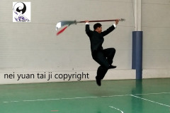 MASTER CHEN BING\'S SEMINAR IN PLOVDIV (PHILIPPOPOLI), BULGARIA